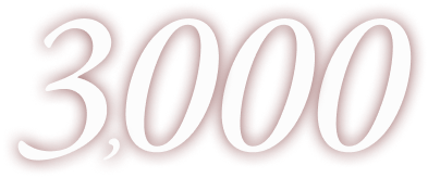 3000